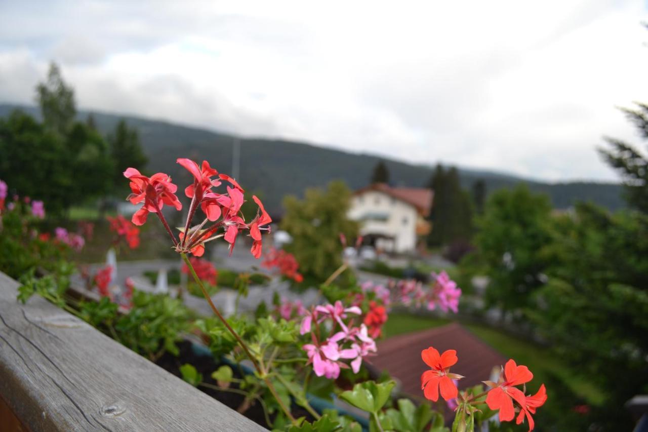 Gasthof Zum Gruenen Baum Verano Buitenkant foto