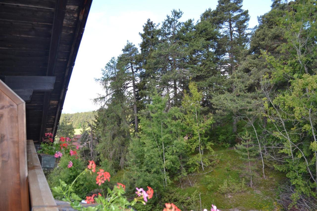 Gasthof Zum Gruenen Baum Verano Buitenkant foto